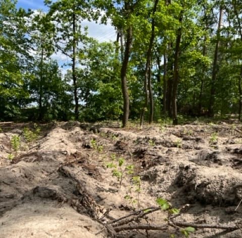 Park Narodowy w Polsce