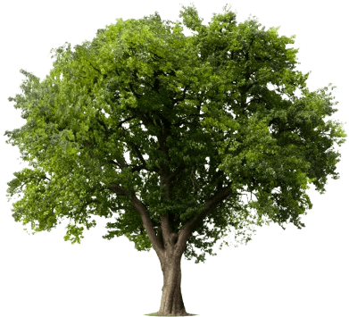 Dlaczego Parki Narodowe?